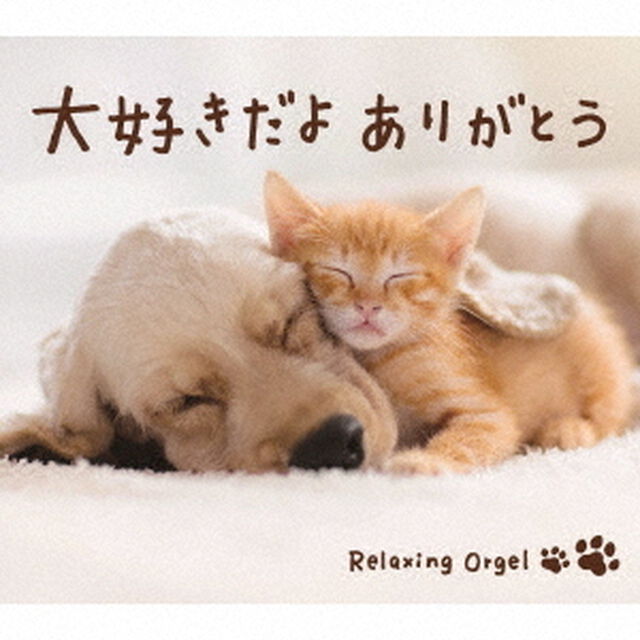大好きだよ　ありがとう／&alpha;波オルゴール（ＣＤ）