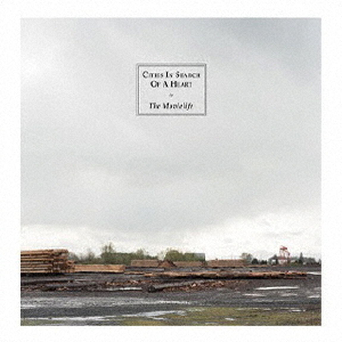 Cities　In　Search　Of　A　Heart（ＣＤ）