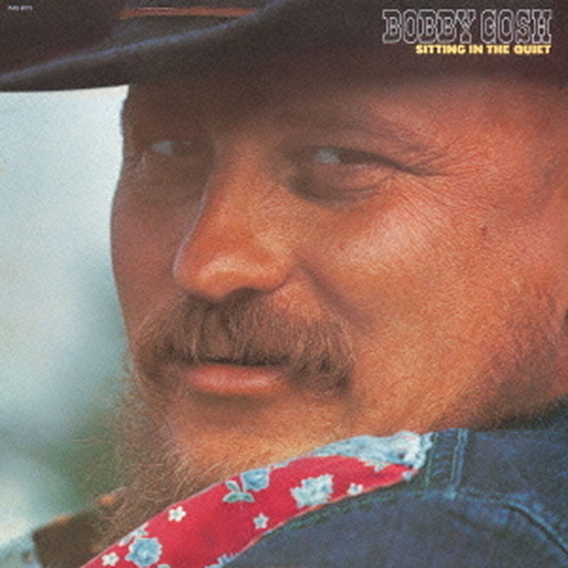 シッティング・イン・ザ・クワイエット（ＣＤ）