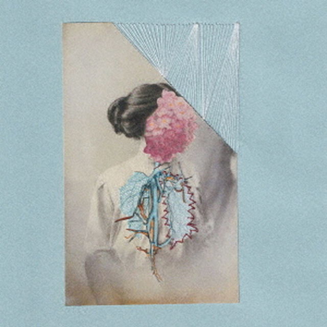縫層（ＣＤ）