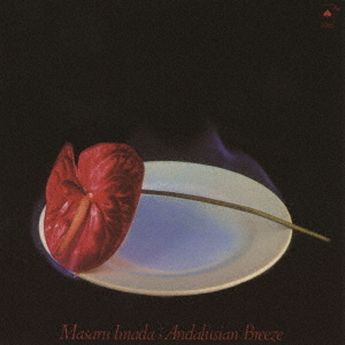 アンダルシアの風　＋1（ＣＤ）