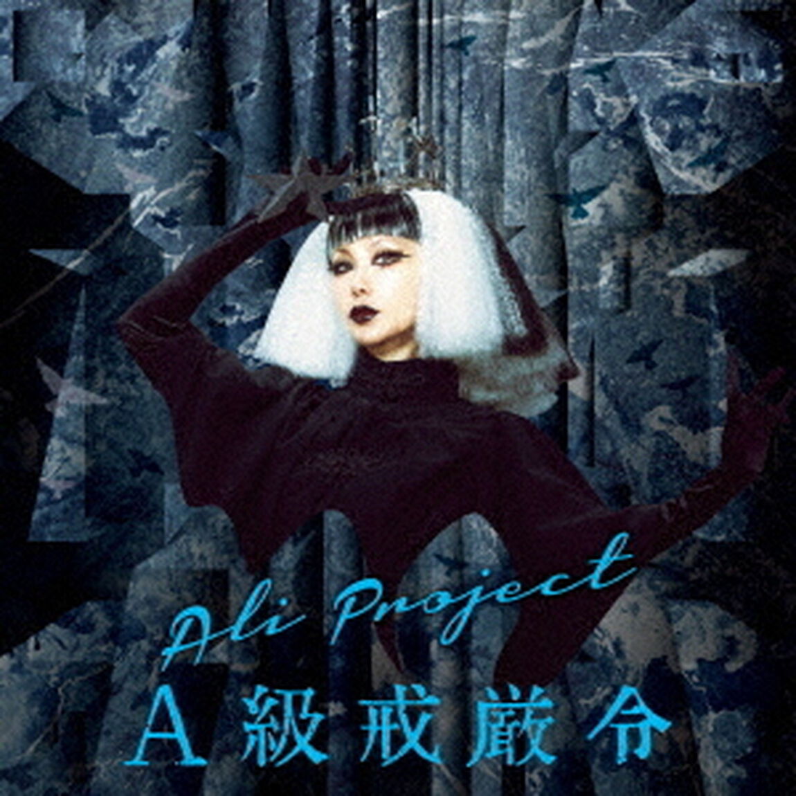 A級戒厳令（ＣＤ）
