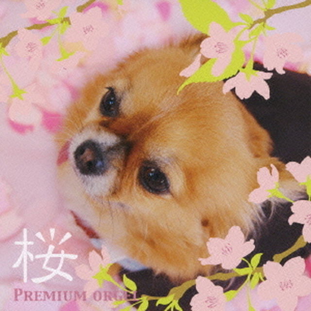 桜ソング〜旅立ちの日に〜（ＣＤ）