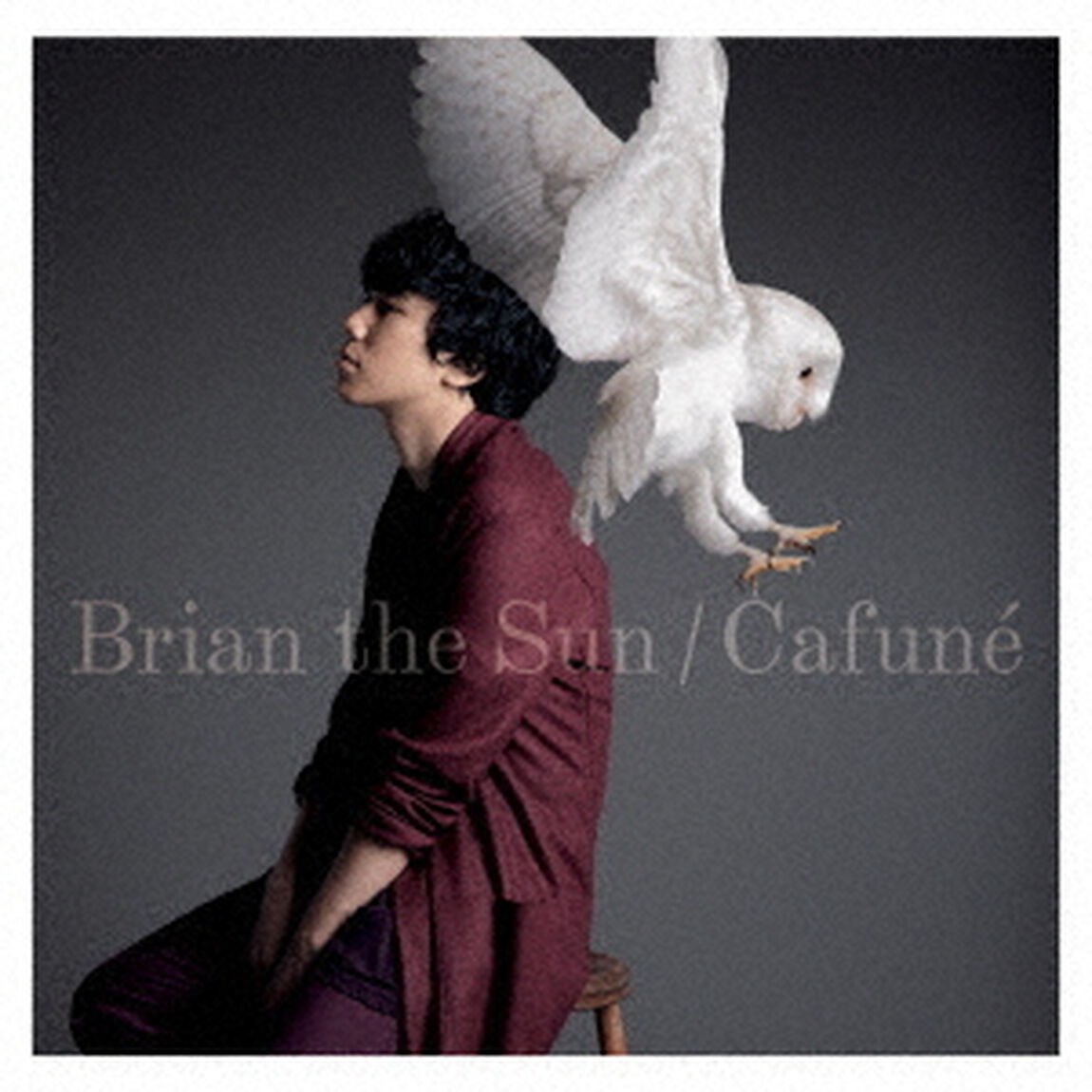 カフネ（ＣＤ）