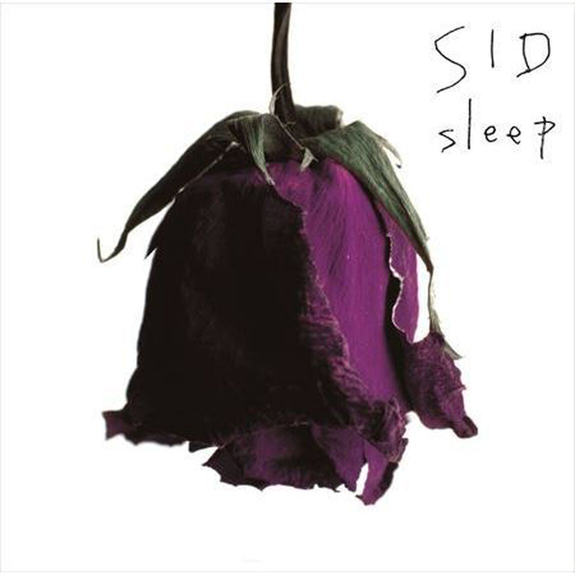 sleep（ＣＤ）