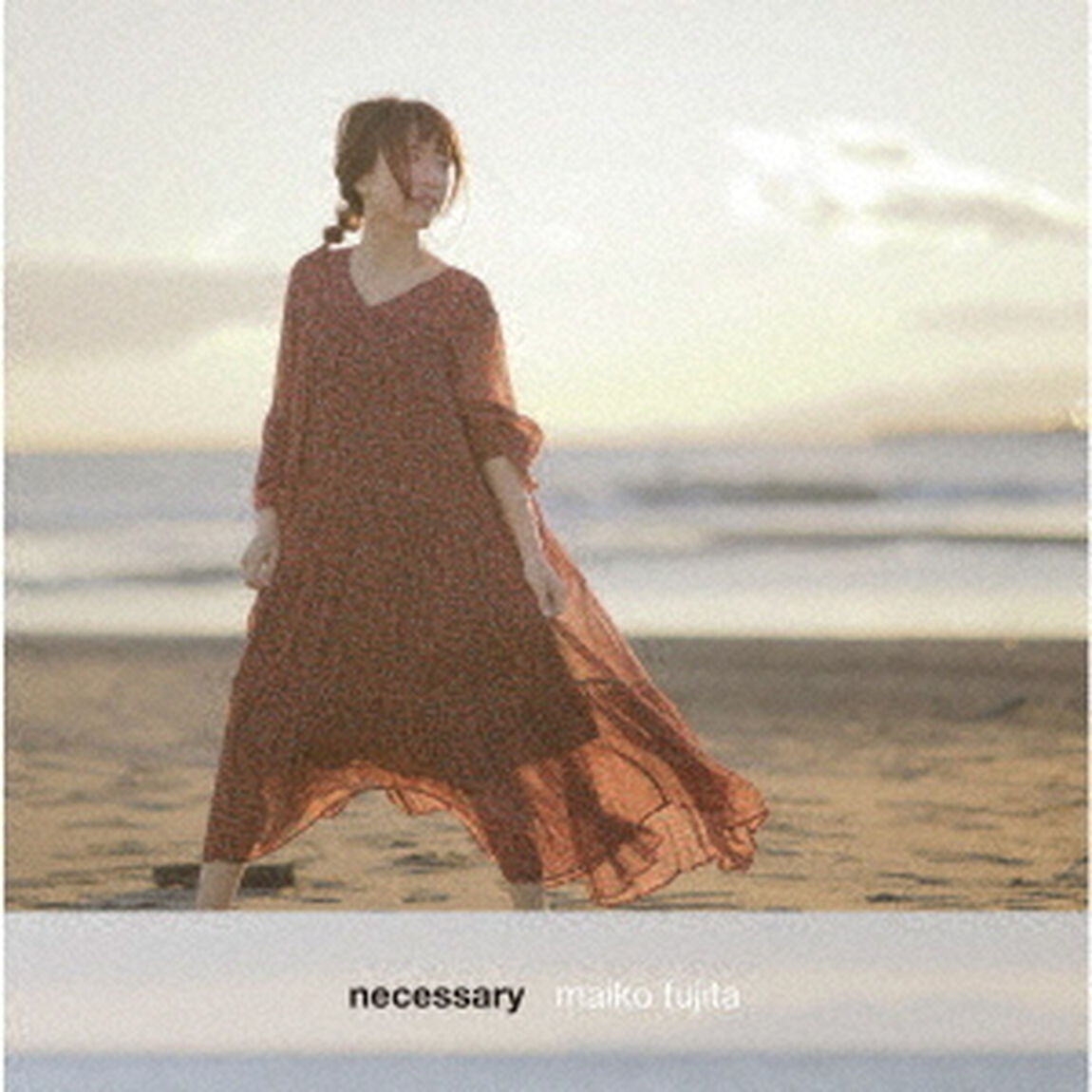 necessary（ＣＤ）