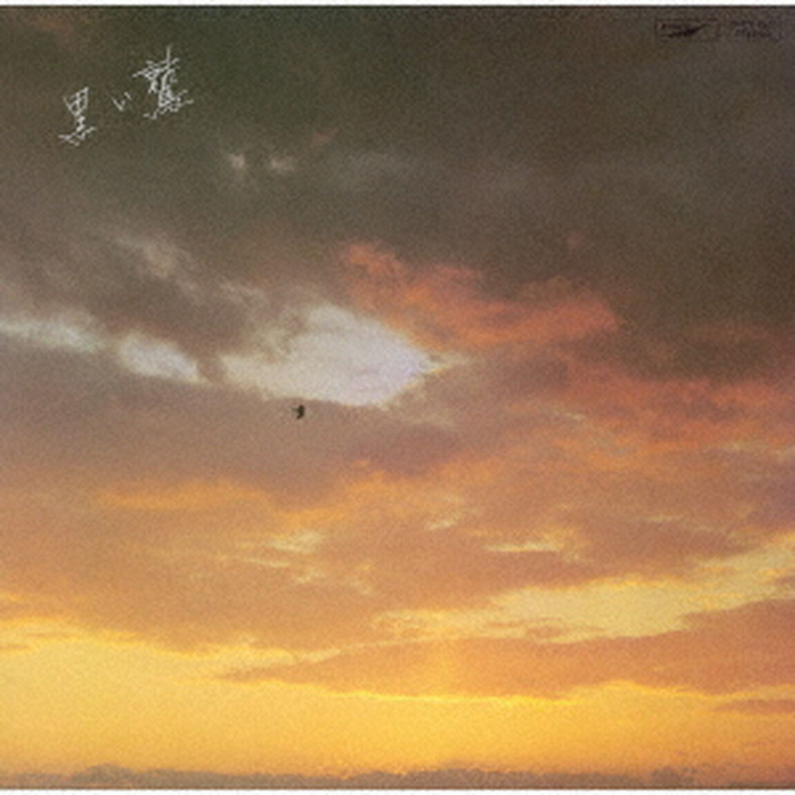 谷村新司／黒い鷲（CD）（ＣＤ）
