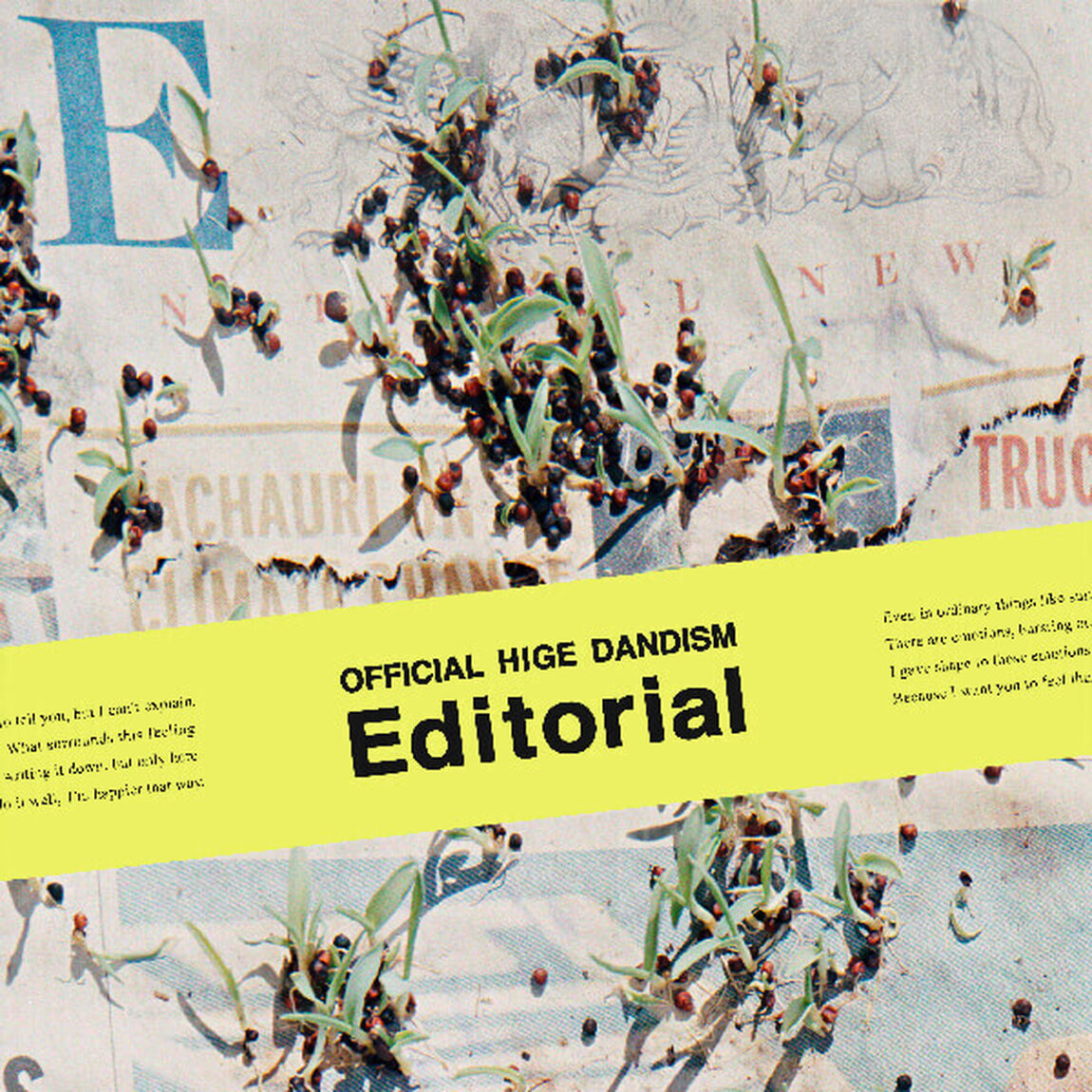 Official髭男dism／Editorial（CD+DVD）（旧譜キャンペーン特典：IRORI Recordsオリジナルステッカーセット）（ＣＤ）