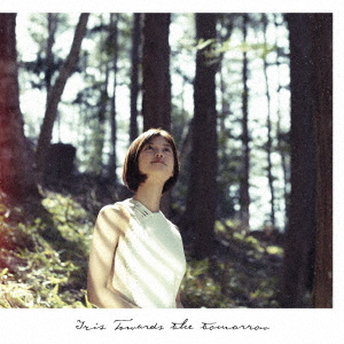 明日へ（ＣＤ）