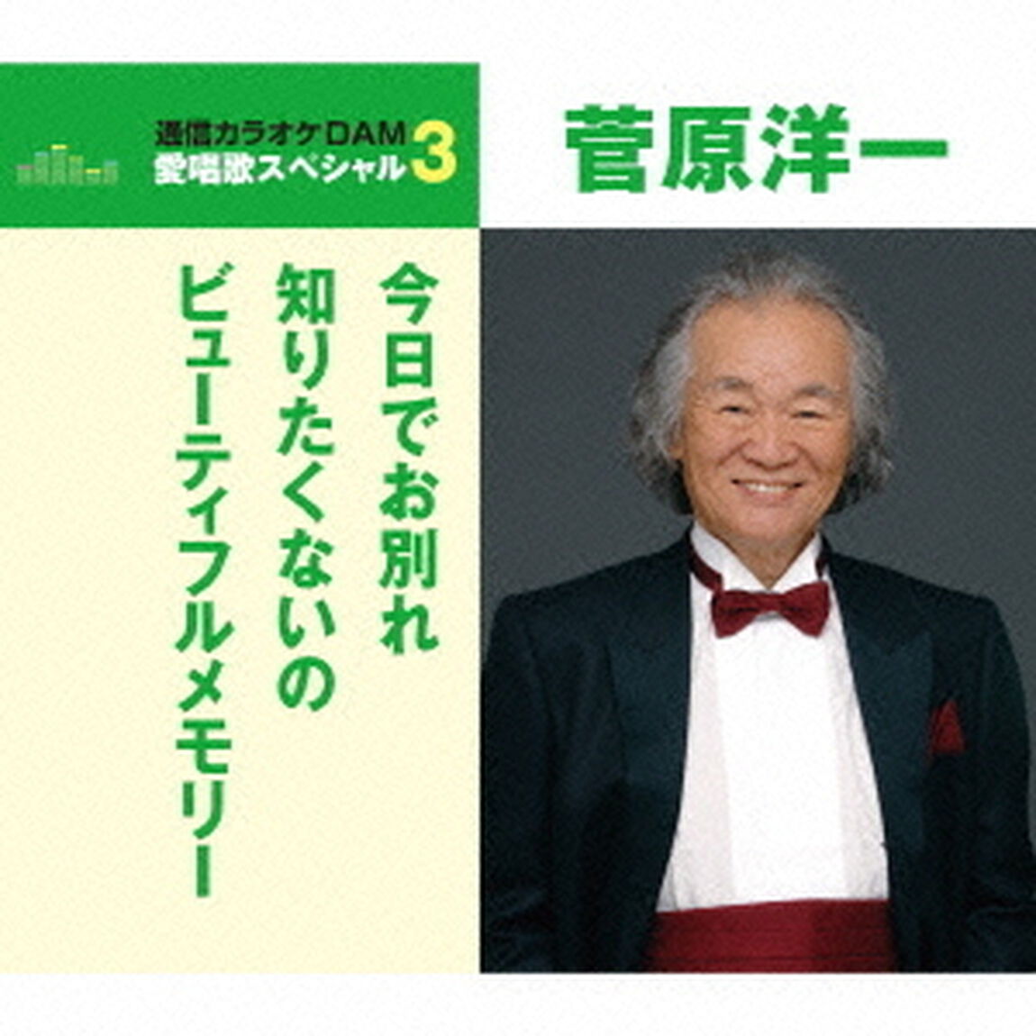 今日でお別れ／知りたくないの／ビューティフルメモリー（ＣＤ）