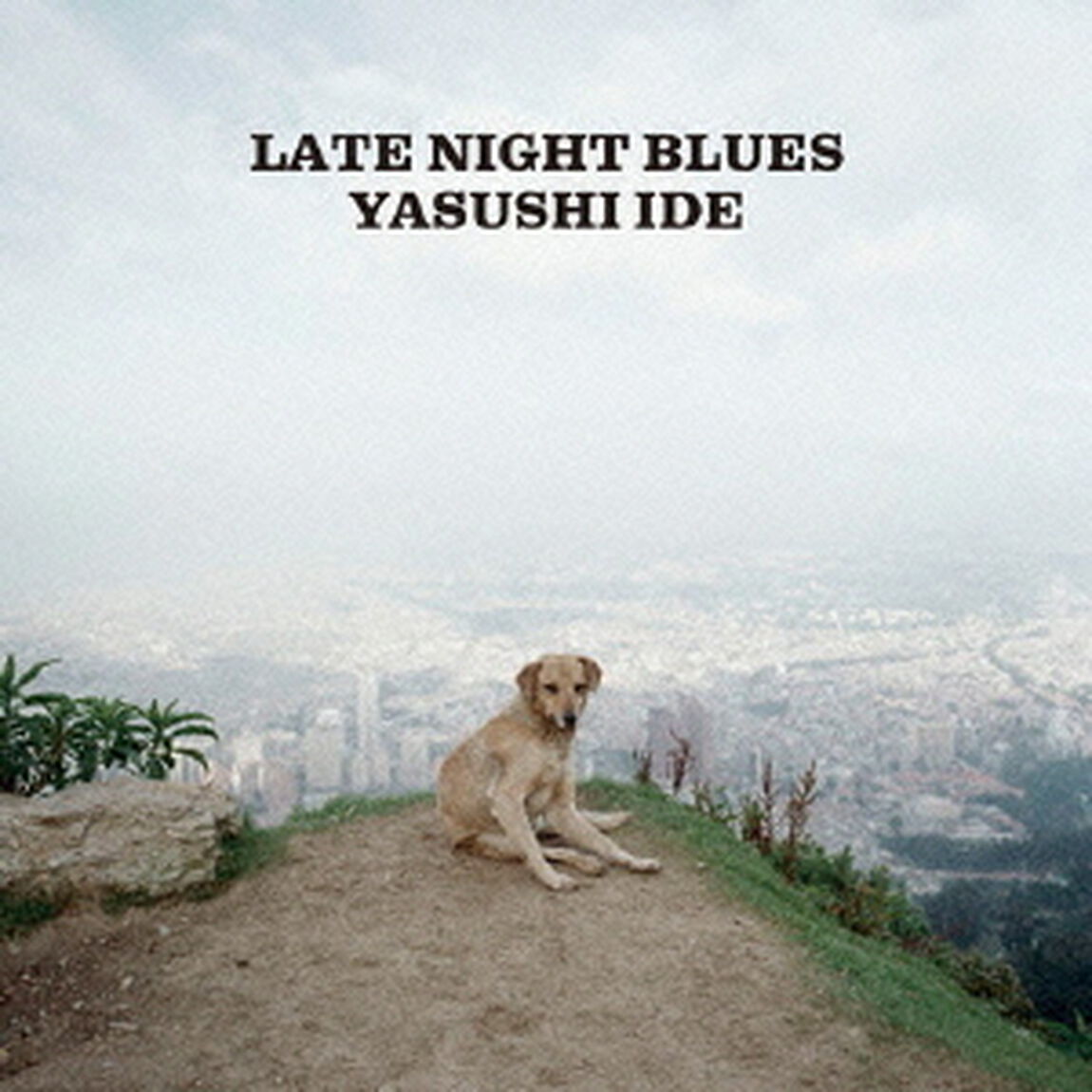 LATE　NIGHT　BLUES（ＣＤ）