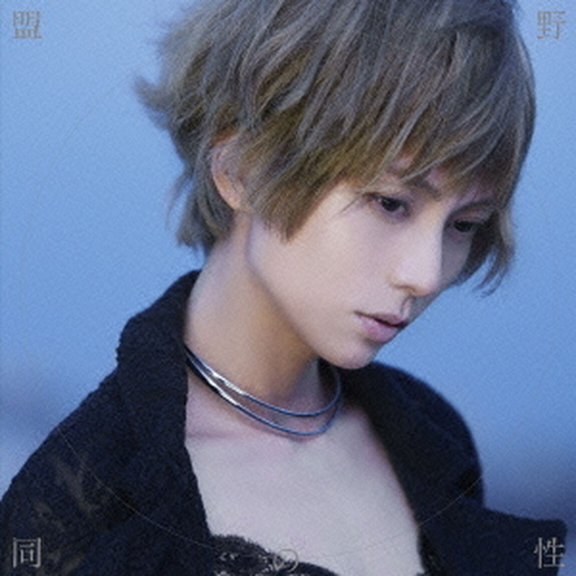 野性の同盟（ＣＤ）