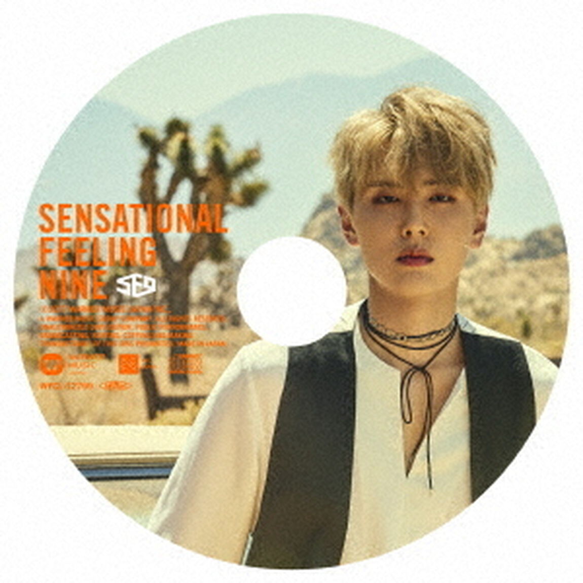Sensational　Feeling　Nine（ＣＤ）