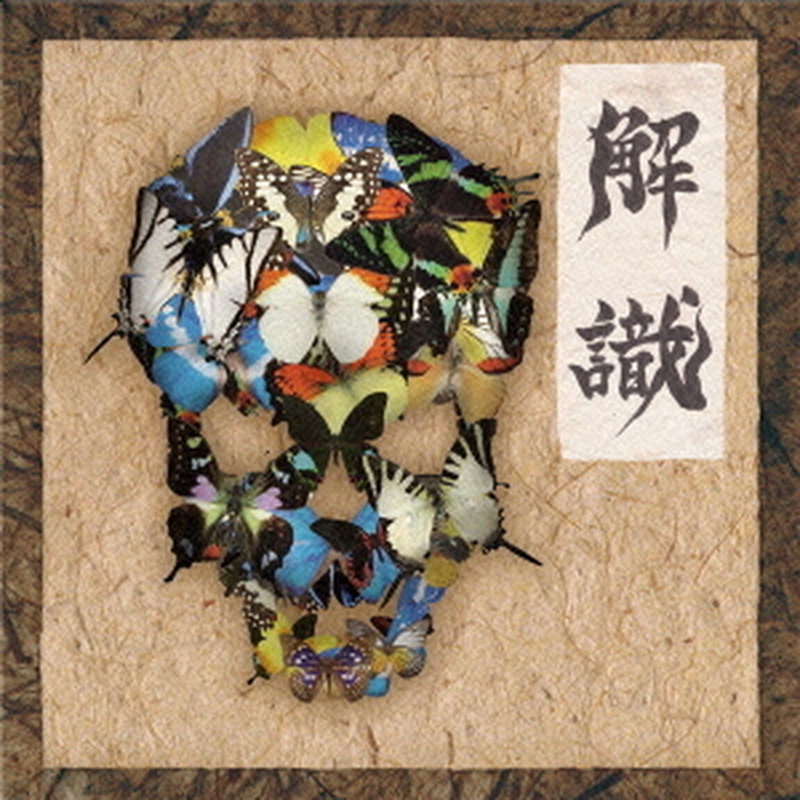 解識（ＣＤ）