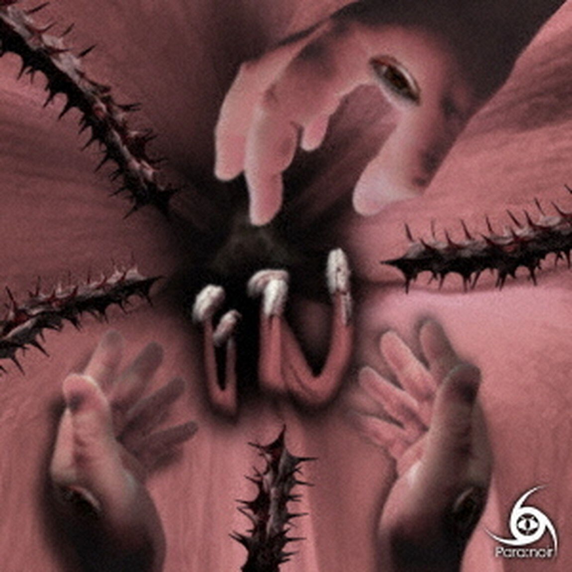 Amaryllis／Cosmos［TYPE　A］（ＣＤ）