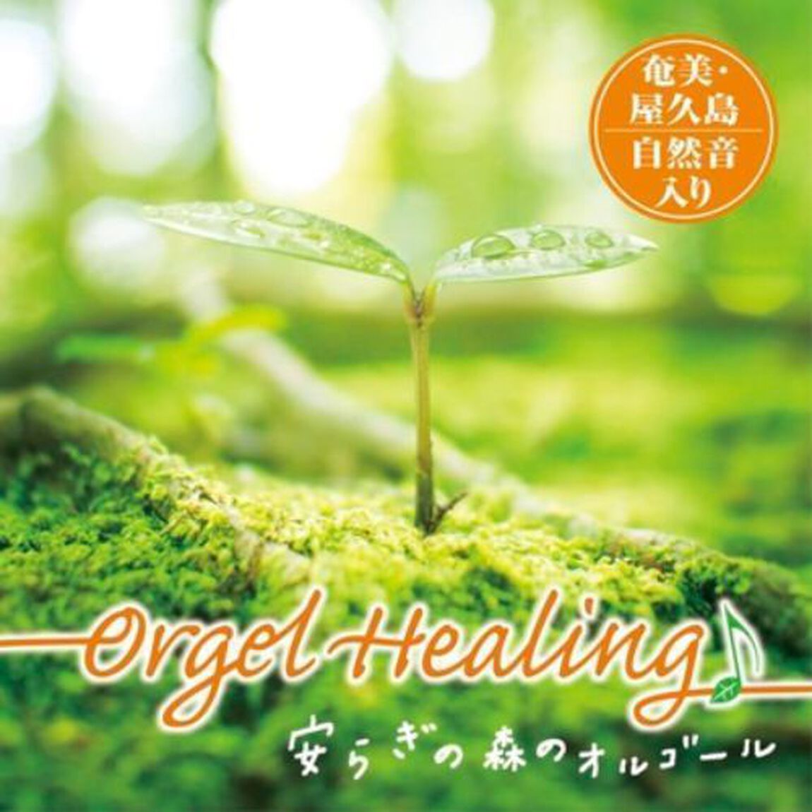 Orgel　Healing　安らぎの森のオルゴール（ＣＤ）