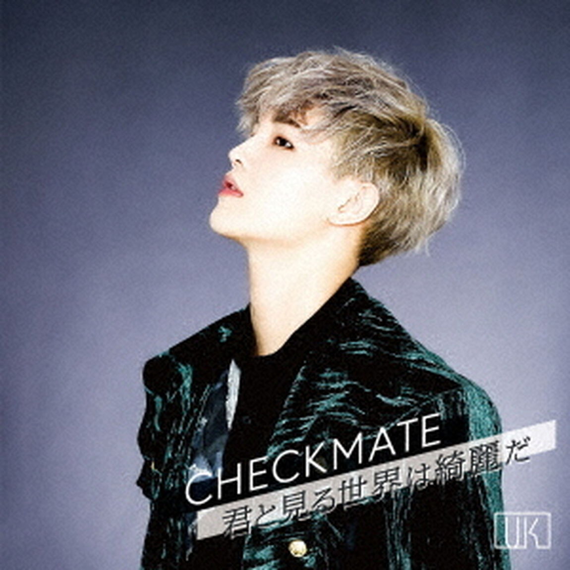 CHECKMATE／君と見る世界は綺麗だ（ＣＤ）