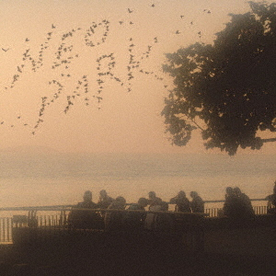 NEO　PARK（ＣＤ）