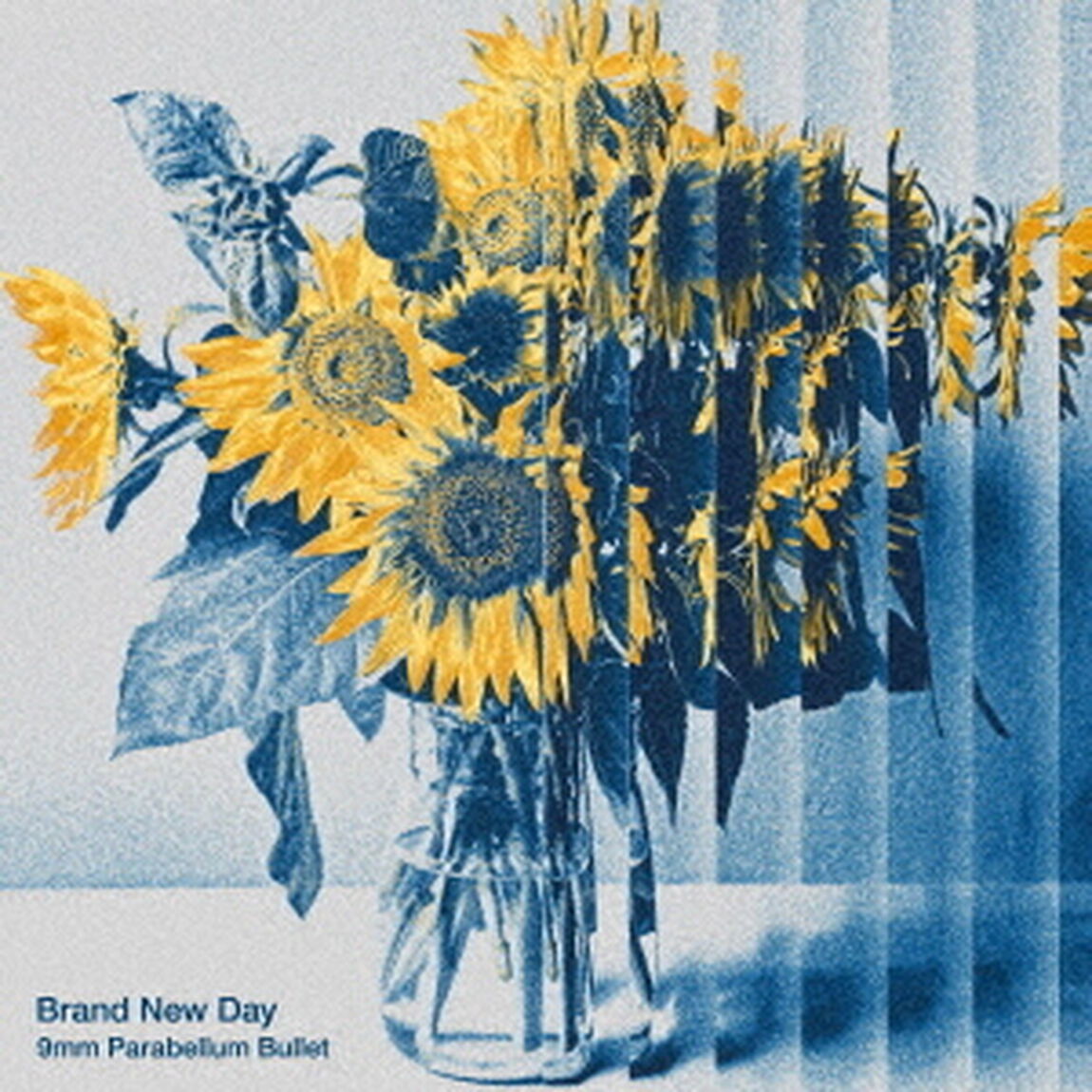 9mm Parabellum Bullet／Brand New Day（ＣＤ）