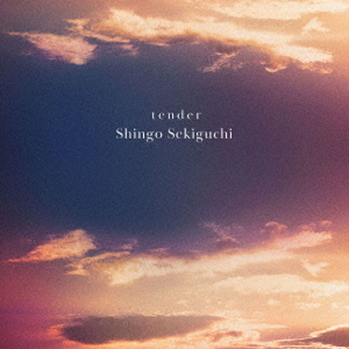 関口シンゴ／tender（通常盤／CD）（ＣＤ）