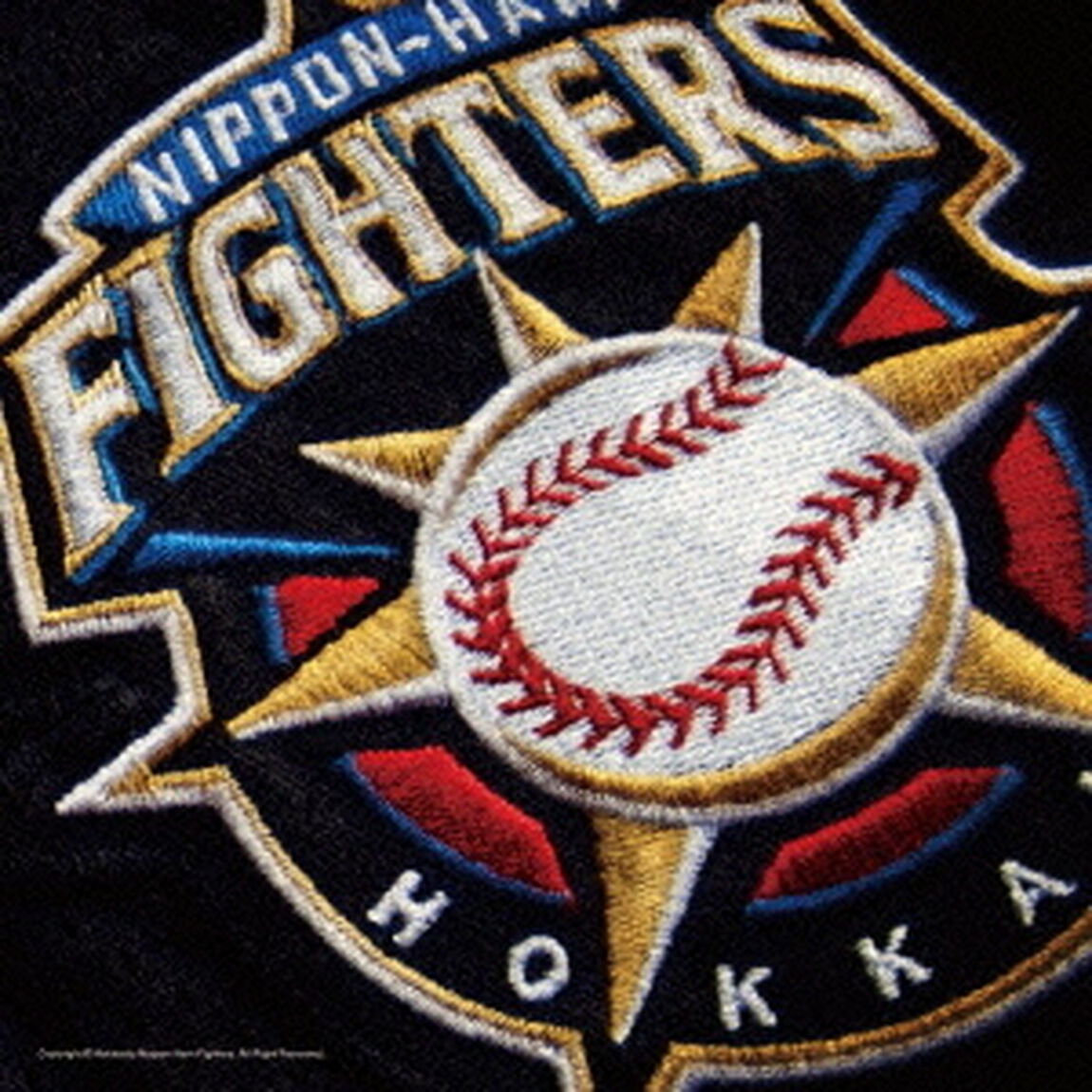 ファイターズと共に（ＣＤ）
