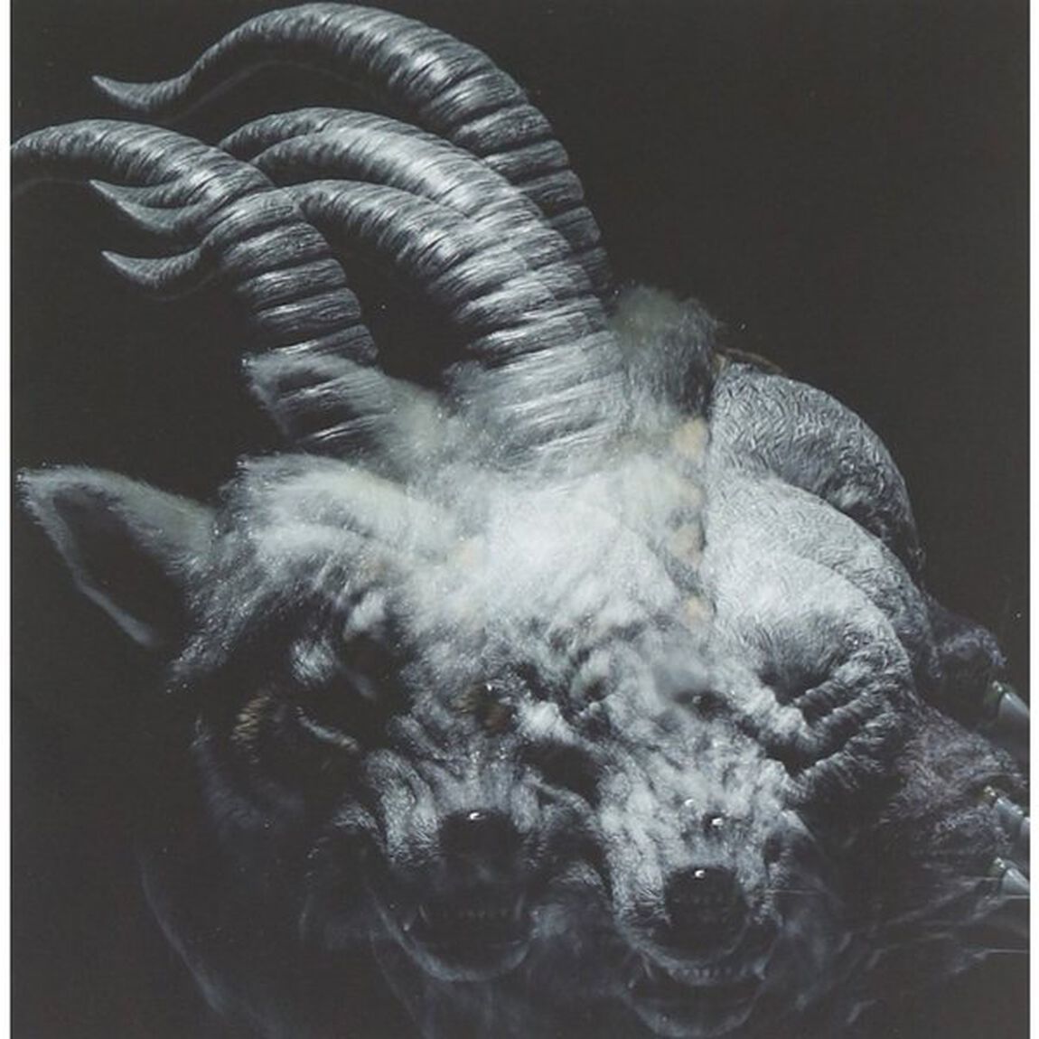 BEAUTIFUL　DEFORMITY（ＣＤ）