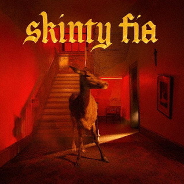 スキンティ・フィア（ＣＤ）