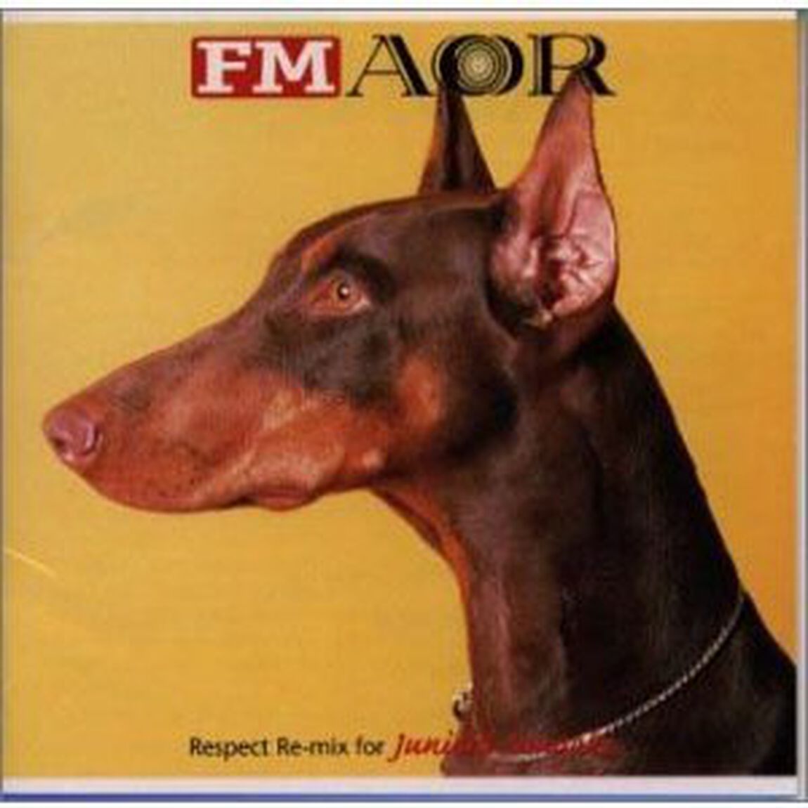 FM　AOR〜Respect　Remix　for　Junichi　Inagaki（ＣＤ）
