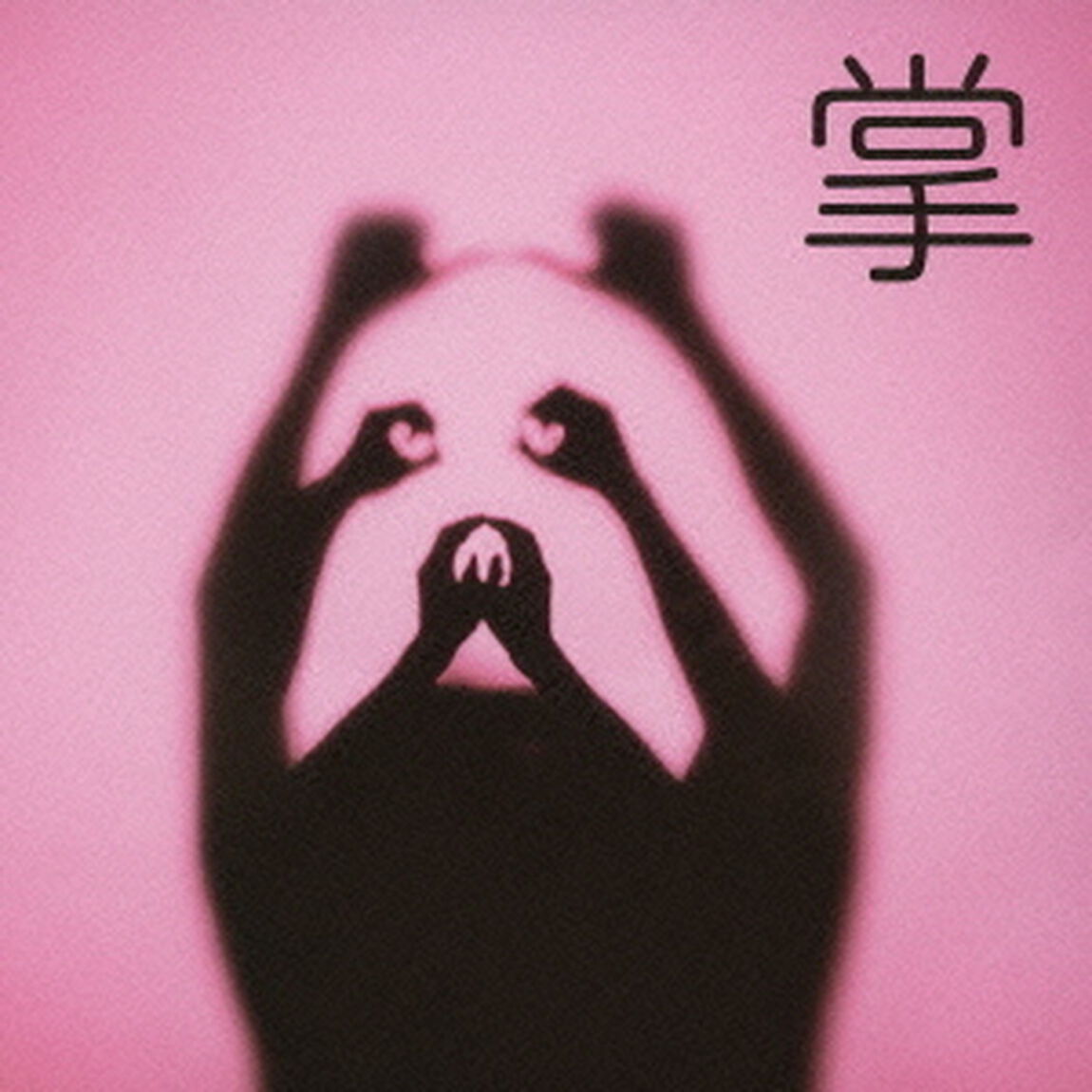 掌（ＣＤ）
