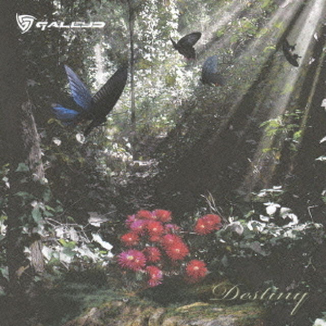 Destiny（ＣＤ）