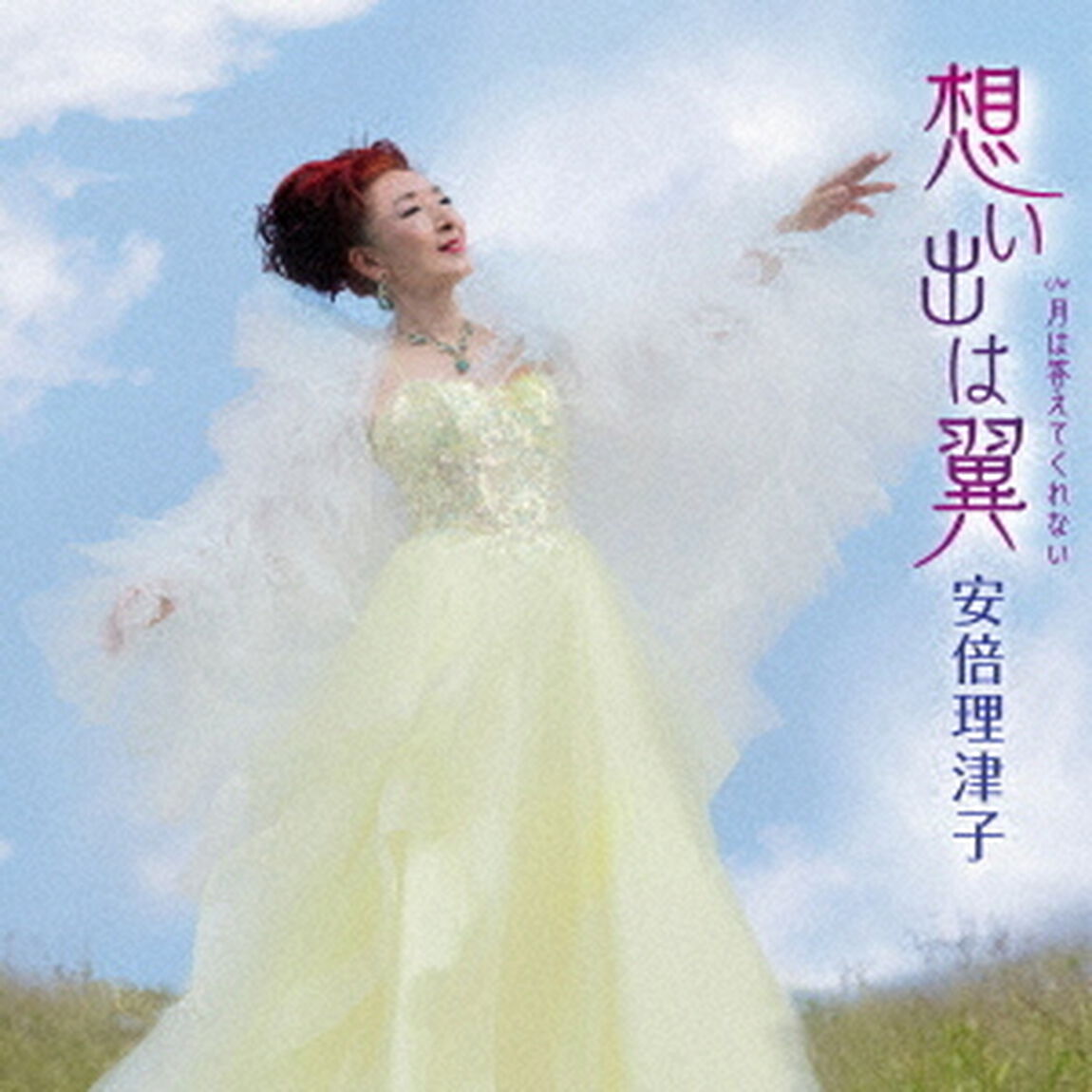 想い出は翼　C／W　月は答えてくれない（ＣＤ）