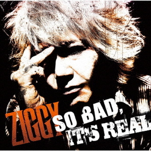 SO　BAD，　IT&rsquo;S　REAL（ＣＤ）