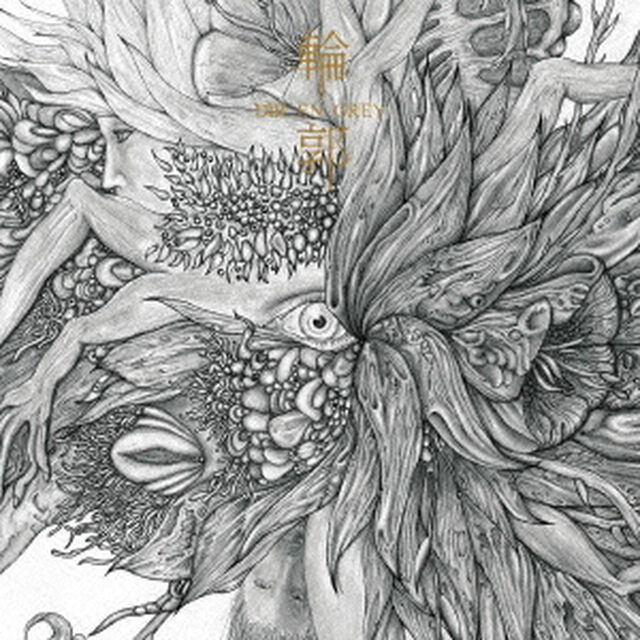 輪郭（ＣＤ）