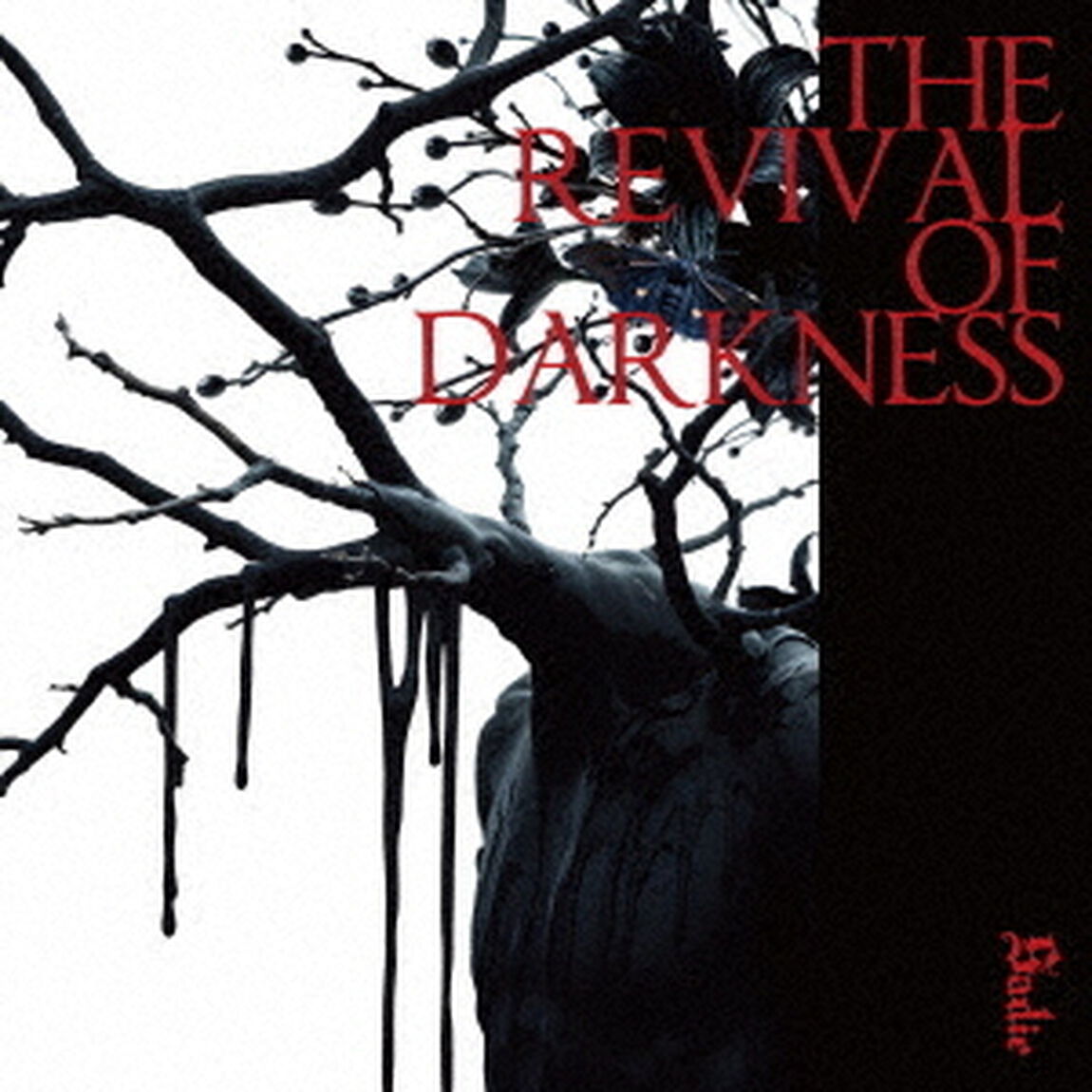 THE　REVIVAL　OF　DARKNESS（ＣＤ）