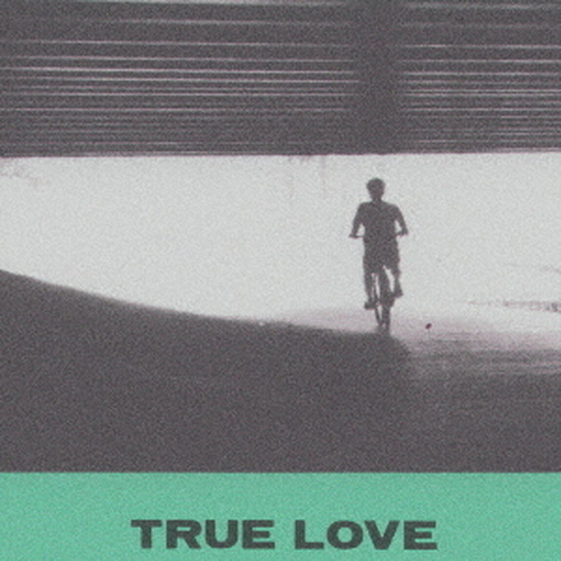 TRUE　LOVE（ＣＤ）