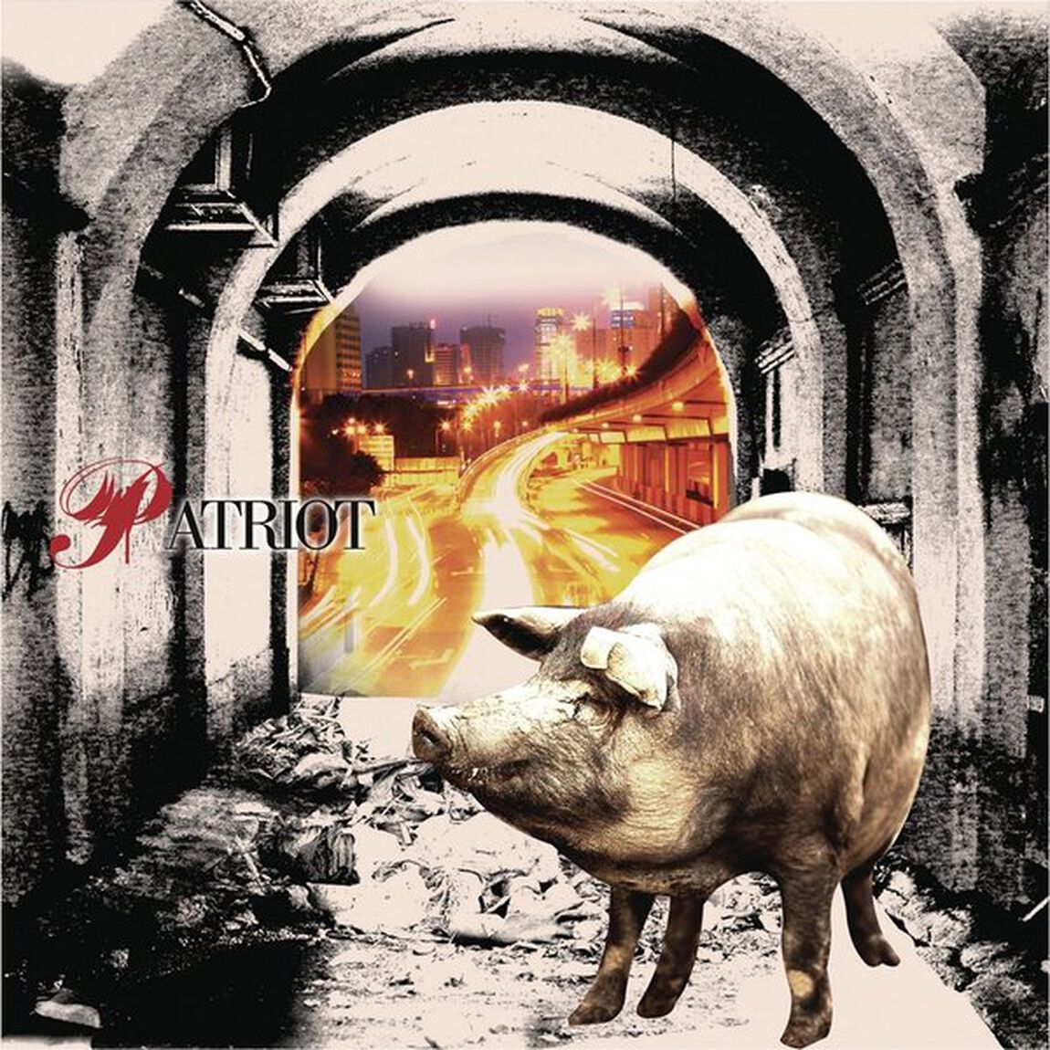 PATRIOT（ＣＤ）