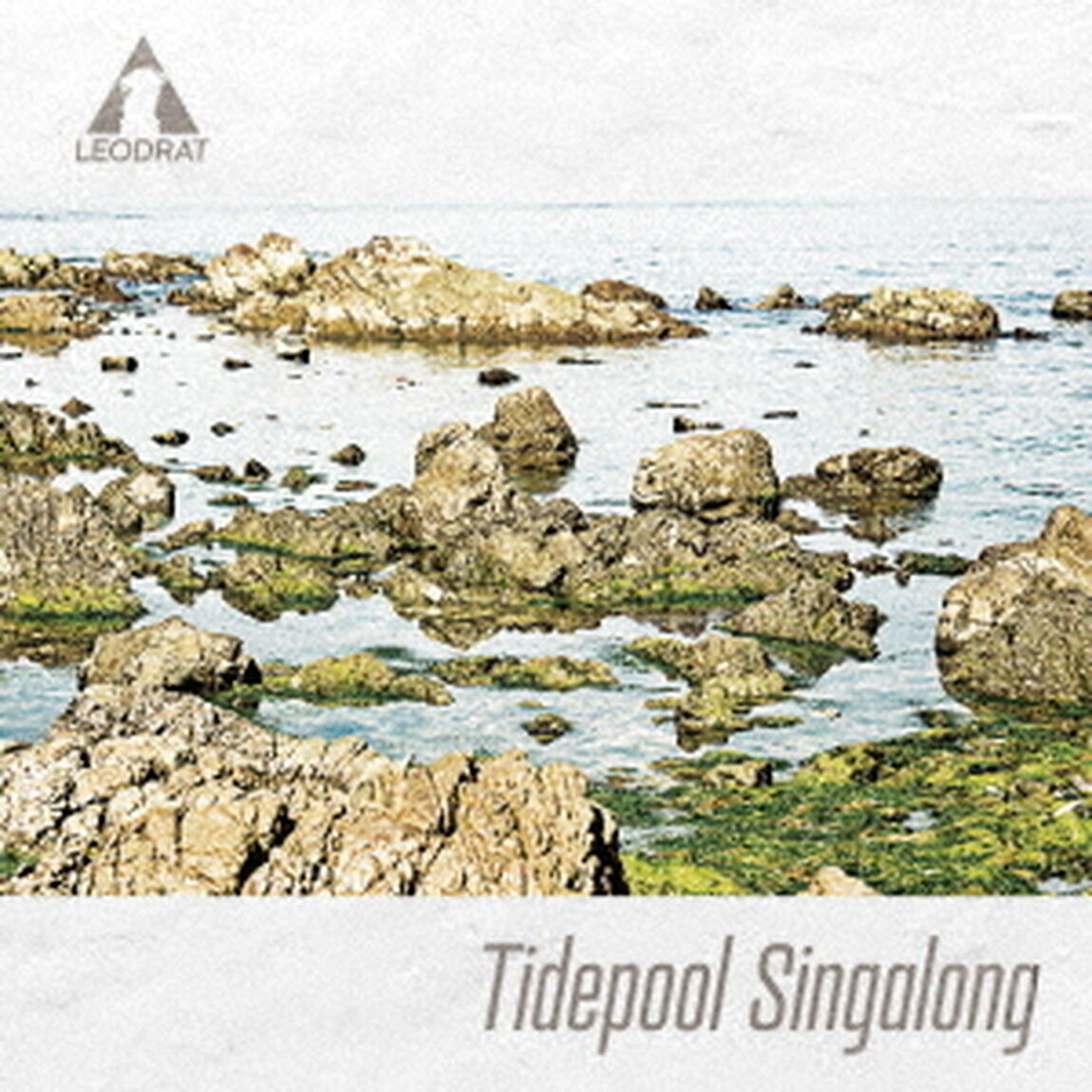 Tidepool　Singalong（ＣＤ）
