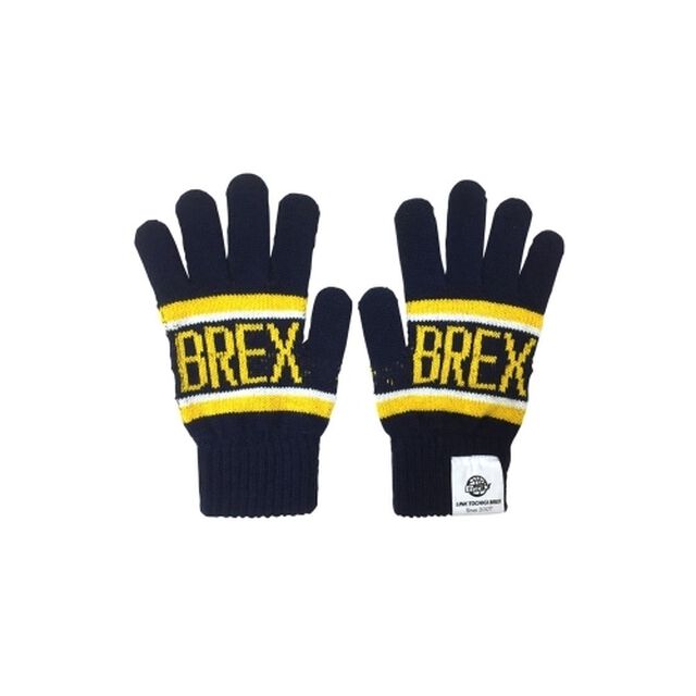 【B.LEAGUE】2016-17 BREX ニット手袋（その他）