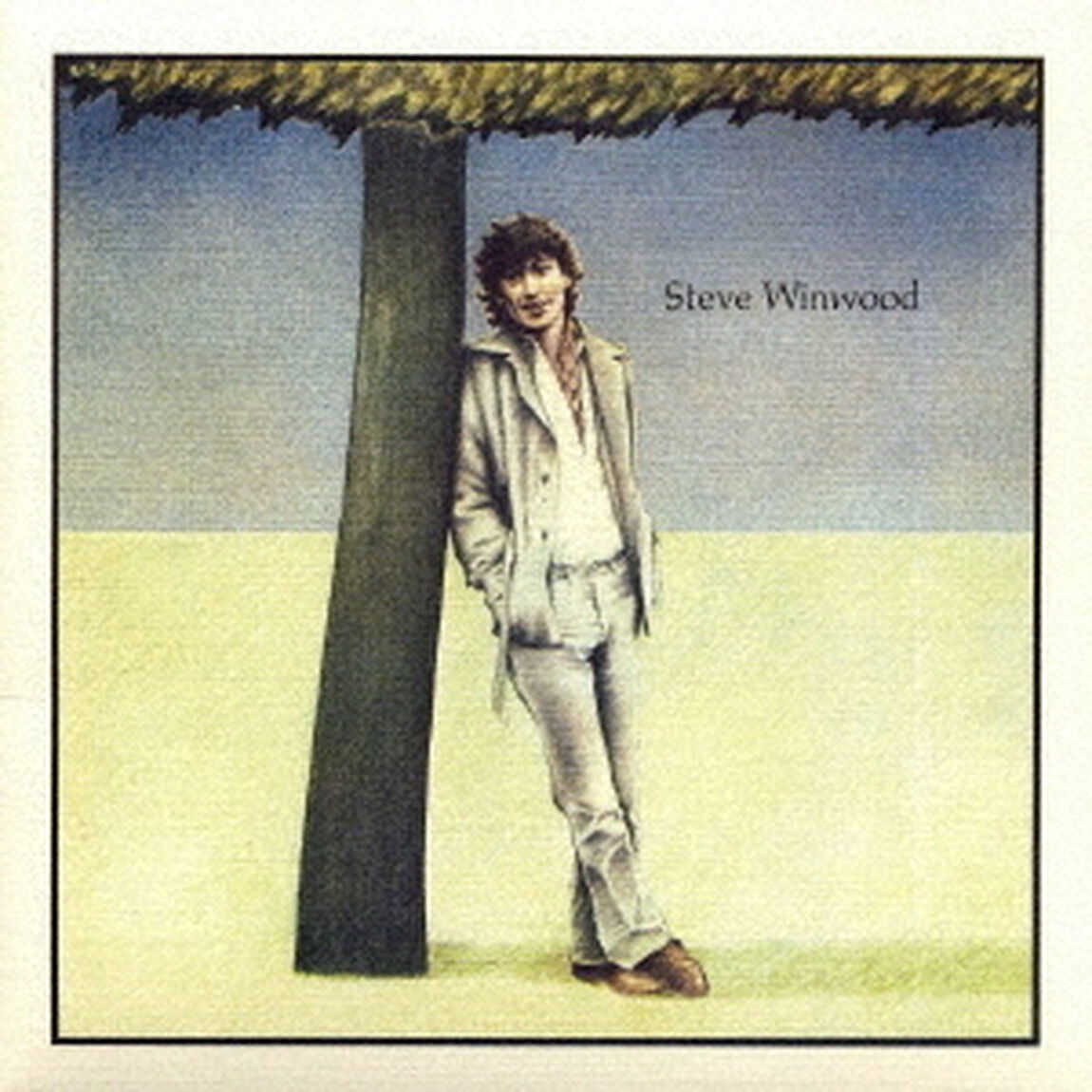 スティーヴ・ウィンウッド（ＣＤ）