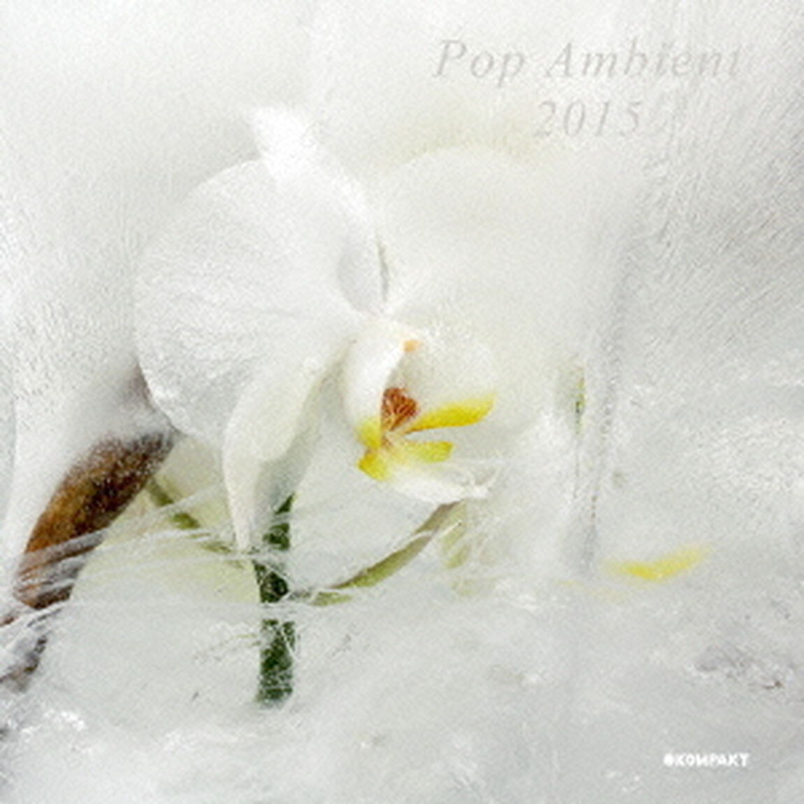 ポップ・アンビエント2015（ＣＤ）