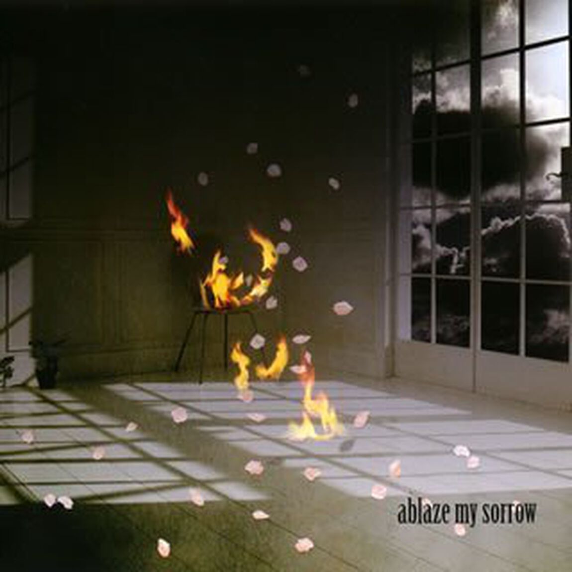 ablaze　my　sorrow［豪華盤］（CDシングル）