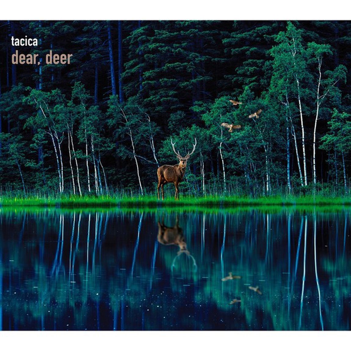 tacica／BEST ALBUM dear，deer（初回生産限定盤A／CD＋Blu-ray）（セブンネット限定特典：三つ折り卓上カレンダー）（ＣＤ）