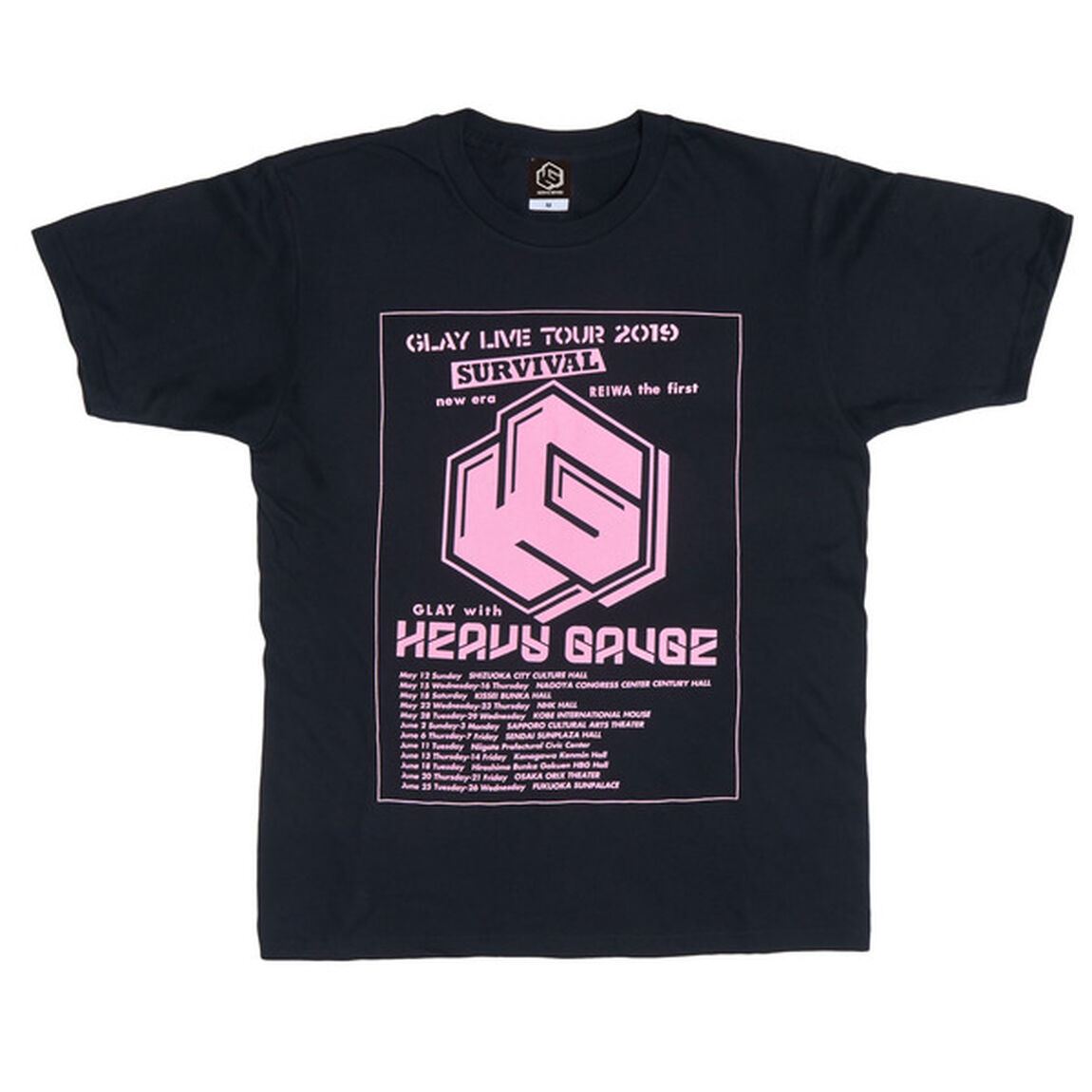 ＜GLAY LIVE TOUR 2019＞ ロゴTシャツ（Lサイズ）（その他）