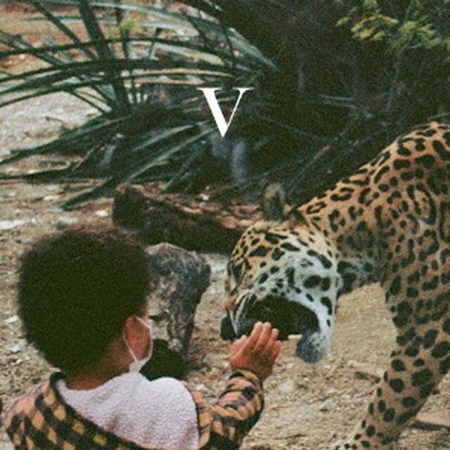 Ⅴ（ＣＤ）