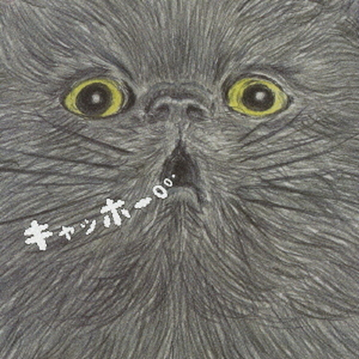 キャッホー（ＣＤ）