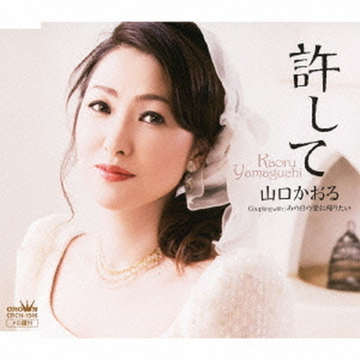 許して／あの日の愛に帰りたい（ＣＤ）