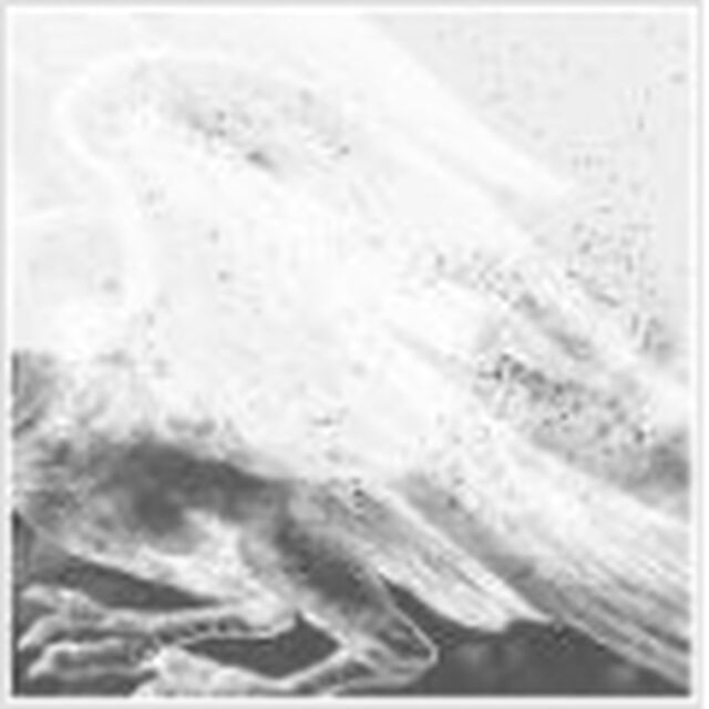 fantasy（ＣＤ）