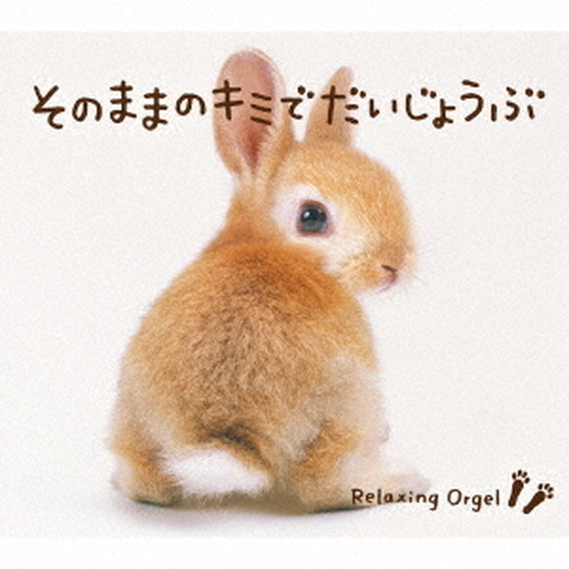 そのままのキミでだいじょうぶ／&alpha;波オルゴール（ＣＤ）