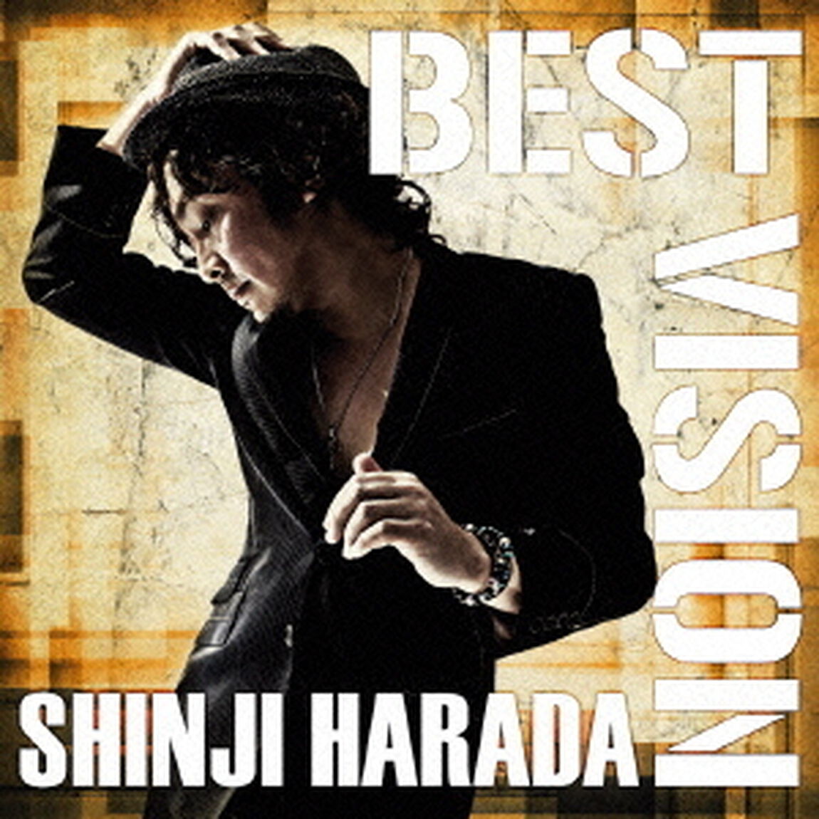 BEST　VISION［初回限定盤］（ＣＤ）