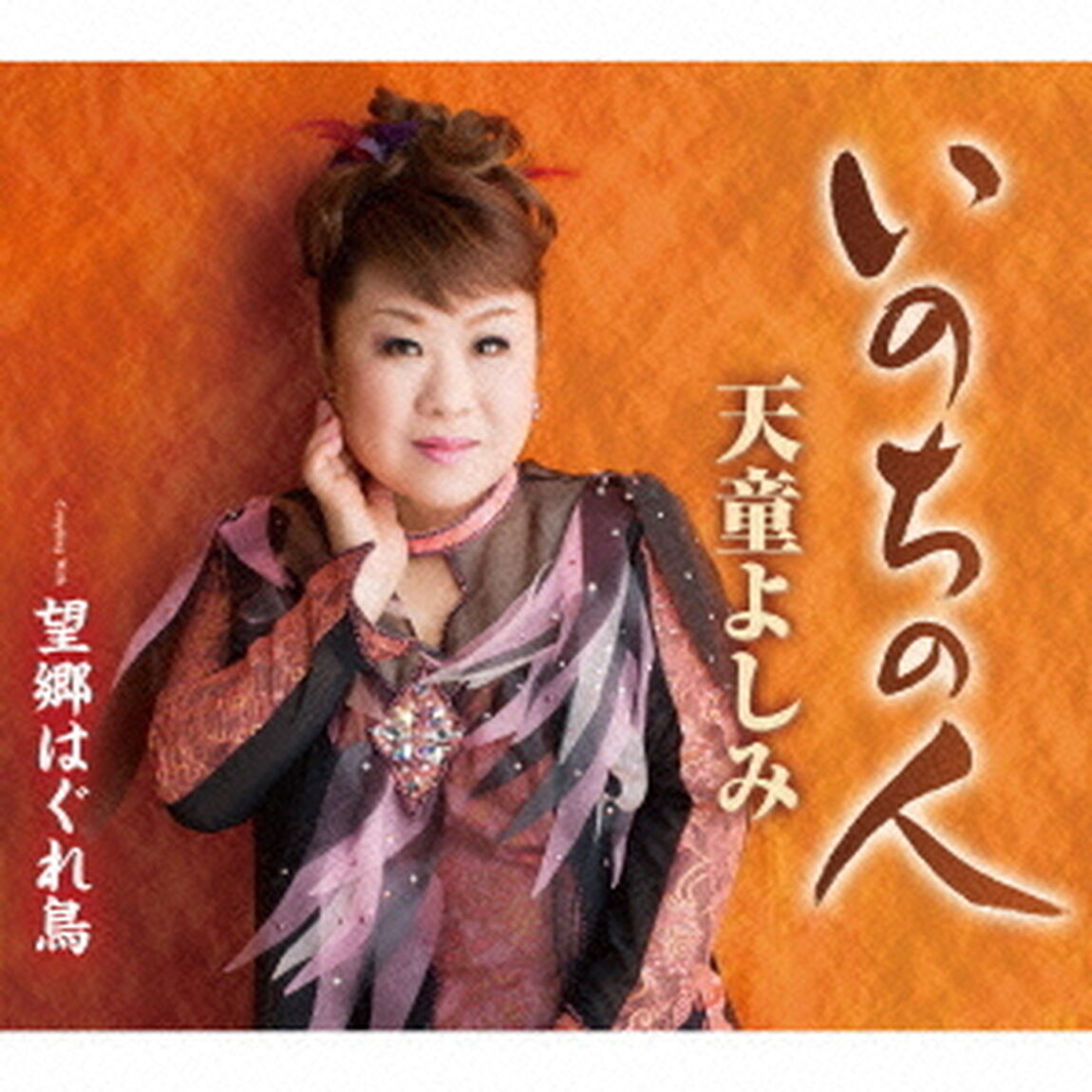 いのちの人／望郷はぐれ鳥（カセットテープ）（カセットテープ　シングル）